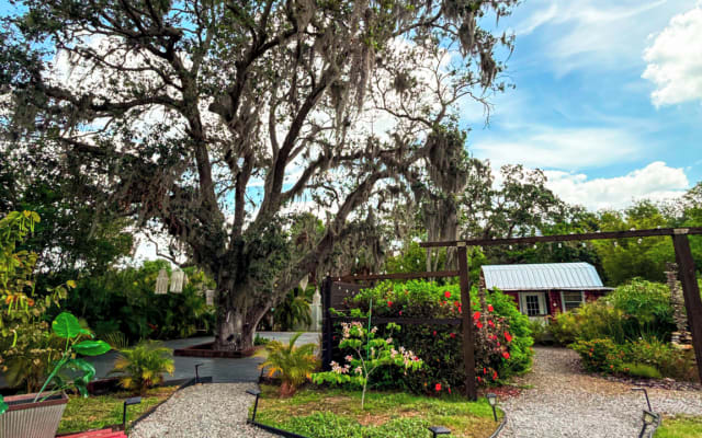 Stefan and Abraham's listing on misterb&b - Garden