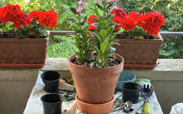 Camera da letto in centro città Posizione top appena fuori dal Reno con prima colazione - Foto 12