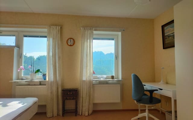 Leos Inserat auf misterb&b - Workdesk and wardarobes in the private room with wiev over a park.