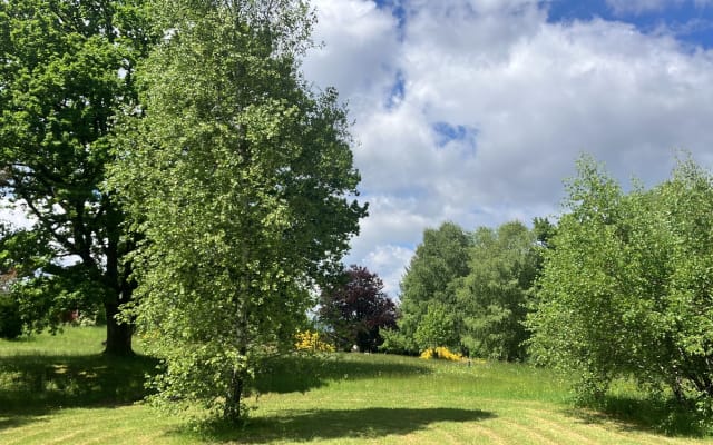 Gîte in stile chalet immerso nel verde