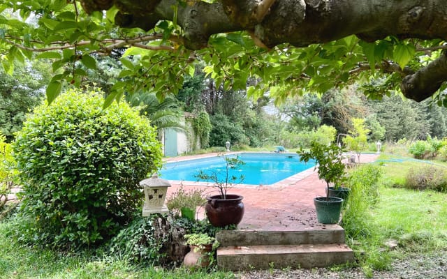 Évasion provençale : ravissante maisonnette au cœur des oliviers