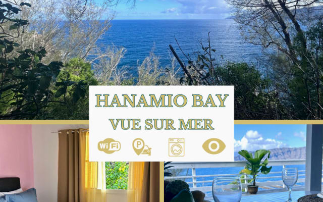 "Flucht auf die Marquesas - HANAMIO BAY " Blick auf den Ozean.