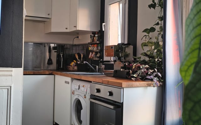 Quiet, sunny apartment on the roofs of Paris