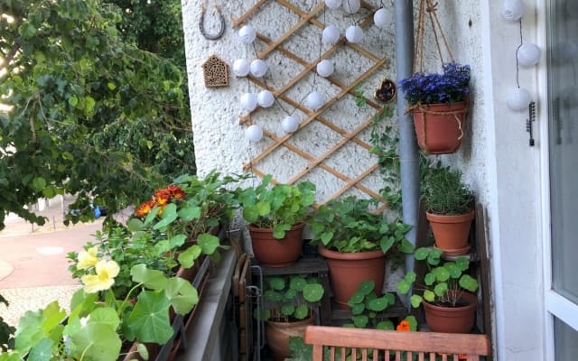 L'annuncio di Shuaiaiiaiii su misterb&b - chill balcony