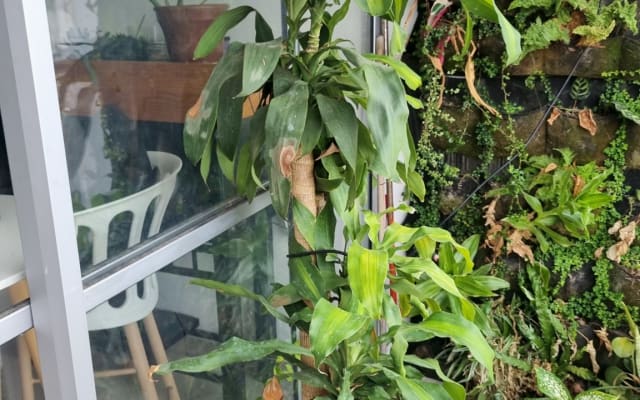 Comoda habitación en hermoso y tranquilo partamento amoblado.