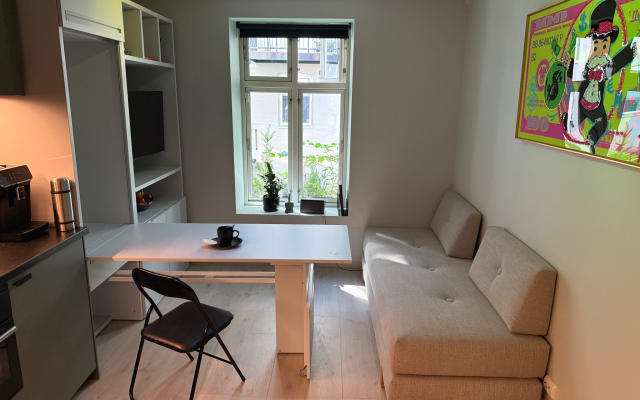 Funktionelles, ruhiges und gemütliches Studio im Herzen von Oslo - Foto 12
