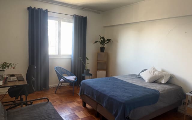 Ampia camera in appartamento nel quartiere di Bellas Artes