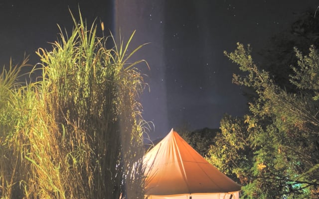 Glamping in high Andean forest. Natural immersion