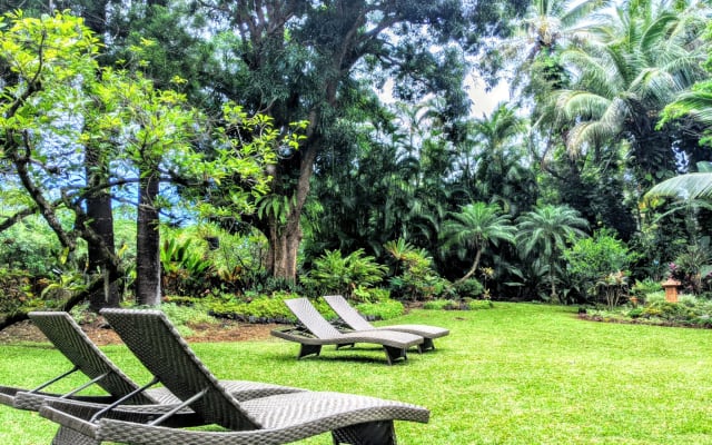 Kehena Beach Gay/LGBTQIA+ Clothing Optional Campsite