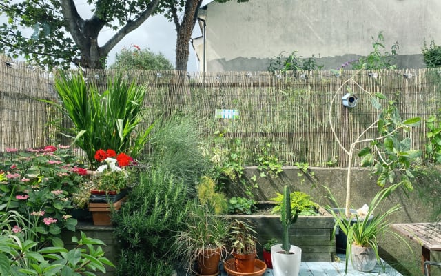 Cosy and quiet garden apartment next to Stoneybatter & Phoenix Park