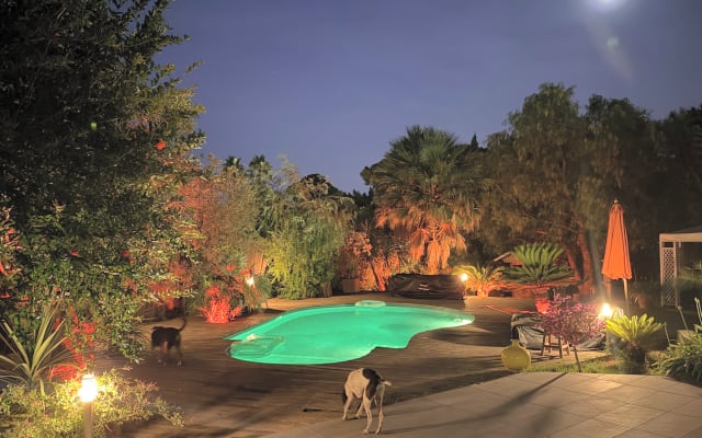 Acogedor estudio con piscina y jardín