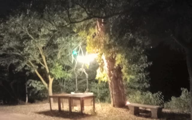 schöne Villa im Grünen. Ruhig, diskret und privat