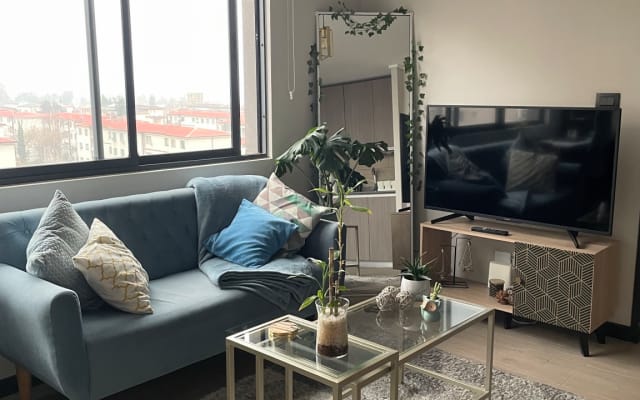Shared apartment in Santiago