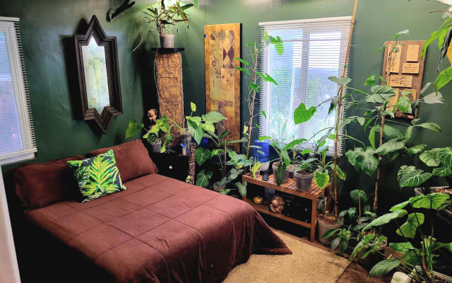 Habitación privada y confortable con vistas al jardín trasero