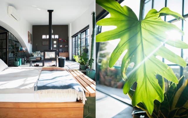 Spacious city loft with large terrace