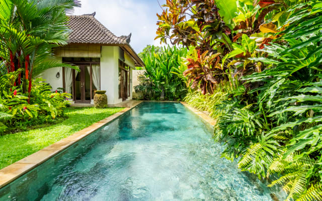 Villa Exotica - Tropical 3 bedroom villa with 12m pool and gardens.