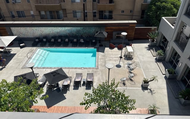 Sky-rise 1 Bedroom Flat in Center of Hollywood - Picture 3