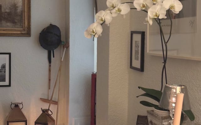 Appartement spacieux et bien situé avec salle de bains privative