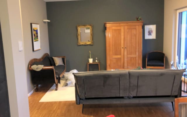Room in spacious penthouse apartment near the center with private...