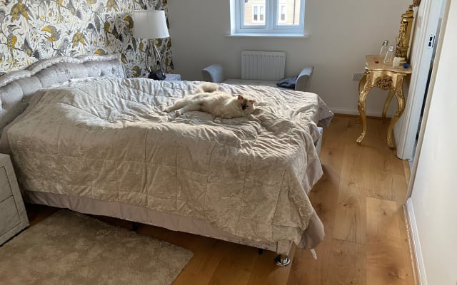 Zimmer in einem Außenbezirk von Norwich