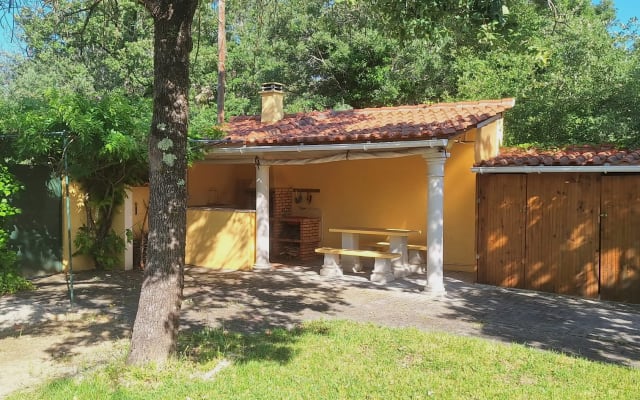 Nice studio in nature. 20 min. from the beach and other nice places. - Picture 21
