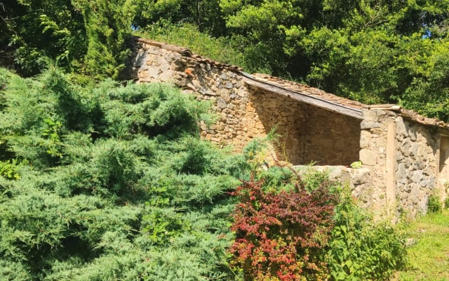 Transparent dome ,gay naturist lodge