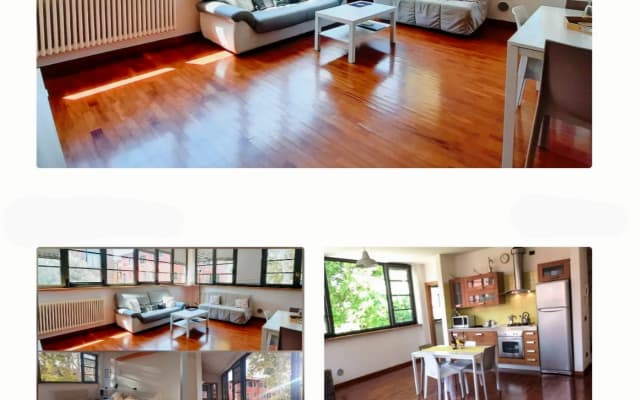 Very bright loft in venice
