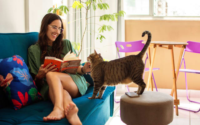 Suite à 5 minutes de Porto da Barra. Bien située, spacieuse et aérée.