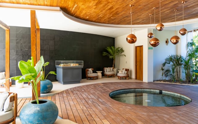 Amazing Luxury StudioJungle Enviroment with cenote