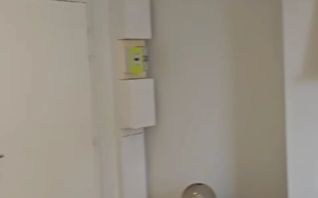 Hübsches kleines T1 im Stadtzentrum, wo es sich gut leben lässt.