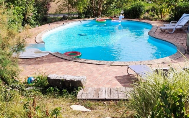 La tante bearbear - nature and pool