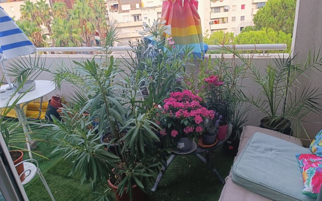 Montpellier's best neighborhood near the center - Picture 20