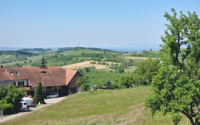 Villa Werner