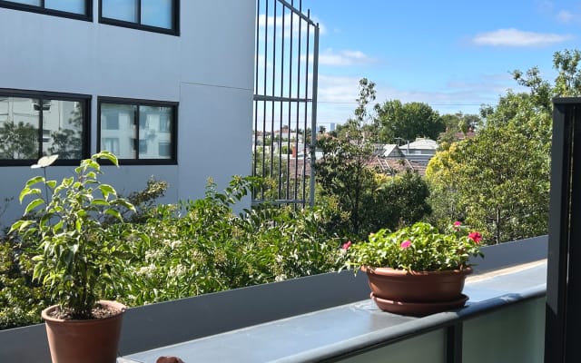 Brendan's listing on misterb&b - Sunny balcony views. 