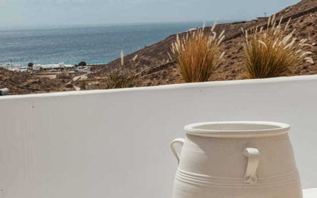 Next to the best gay beach in Mykonos  - Picture 19