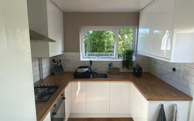 Modern cosy house backing onto oasis of nature at the back