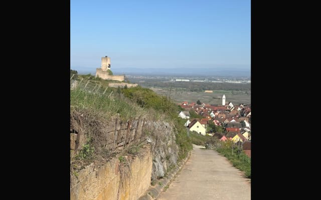 Le petit nid des vignes