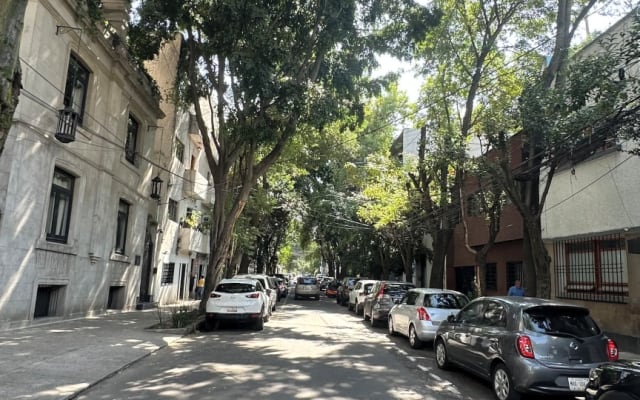 Oscar's listing on misterb&b - Vista de la calle principal, una de las
Colonias más bonitas y seguras de la ciudad.