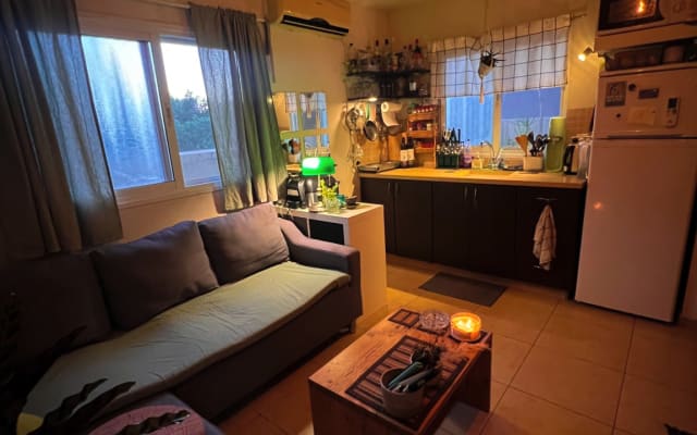 Nice apartment with a private rooftop - Picture 3