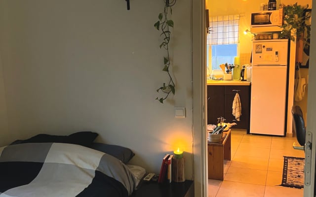 Nice apartment with a private rooftop - Picture 4