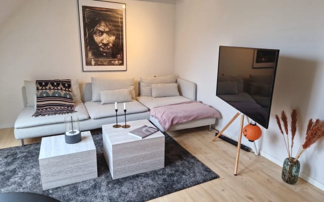 Cozy apartment in the city center