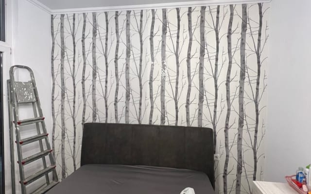 Modern 1+1 apartment in Tirana.
