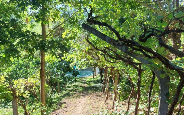 Linda Quinta no coração do Douro
