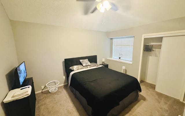Beautiful Modern Zen home in the DFW
Cool living space and garden! - Picture 6