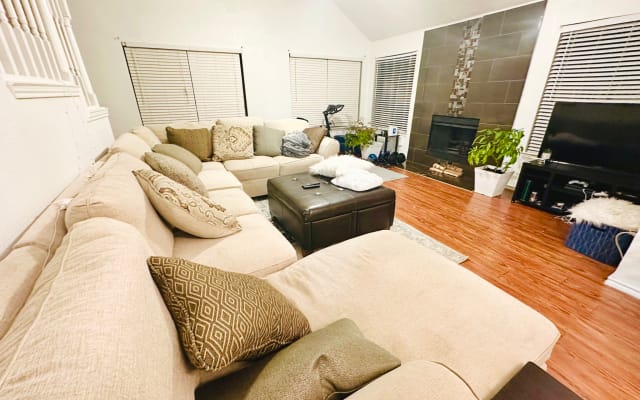 Beautiful Modern Zen home in the DFW
Cool living space and garden!