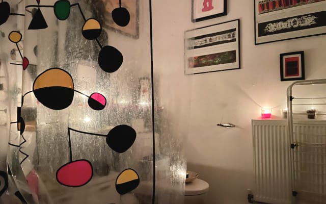 Bohemian lifestyle 
Shared apartment in South London  - Picture 7