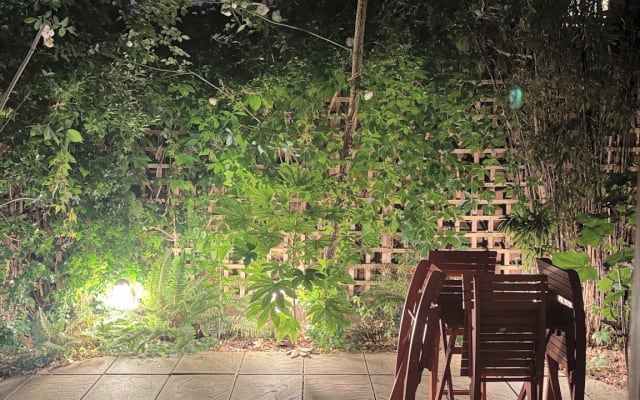 A beautiful room with a private garden in Vauxhall.  - Picture 8