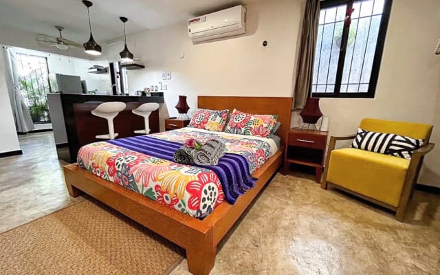 Tulipanes Studio/APT Lujo en
"Parque La Plancha