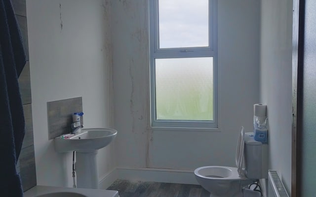 Guest room in quiet and friendly  houseshare.  - Picture 6