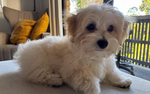 Private Bedroom with Queen Bed